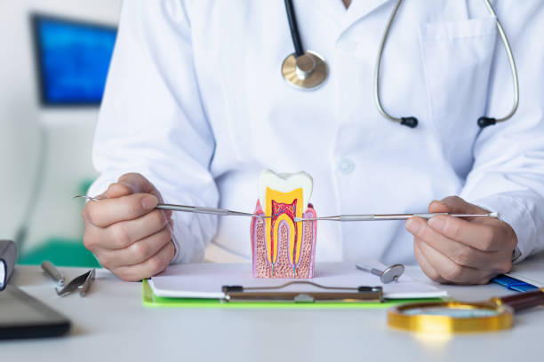Best Emergency Dental Care for Trauma or Injury in Hillburn, NY